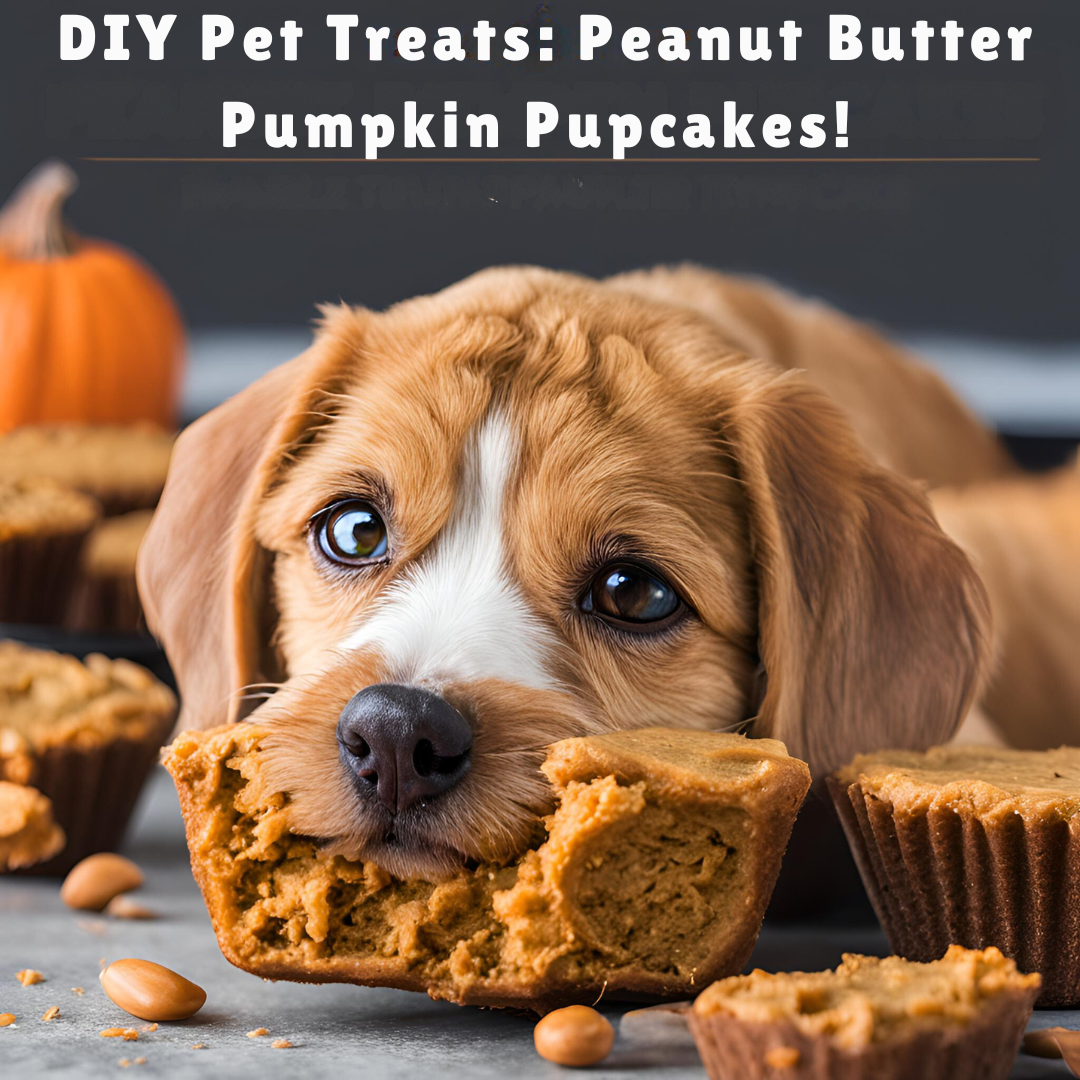 🐾 DIY Pet Treats: Peanut Butter Pumpkin Pupcakes! 🎂