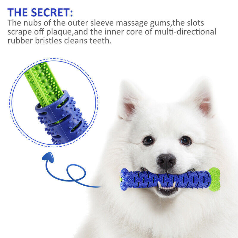 Ultimate 2-in-1 Solution: The Pet-Safe Chew Brush