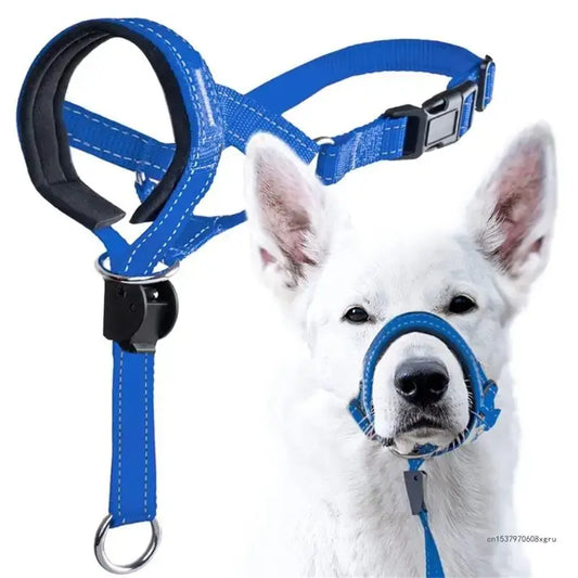 Dog Halter Training Head Collar
