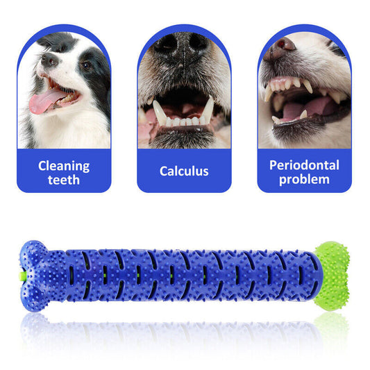 Ultimate 2-in-1 Solution: The Pet-Safe Chew Brush