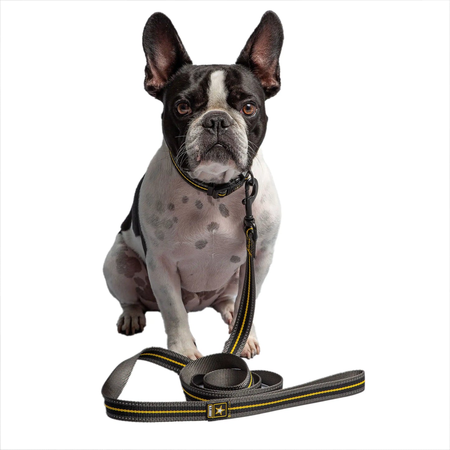 Official Licensed US Army® Dog Leash